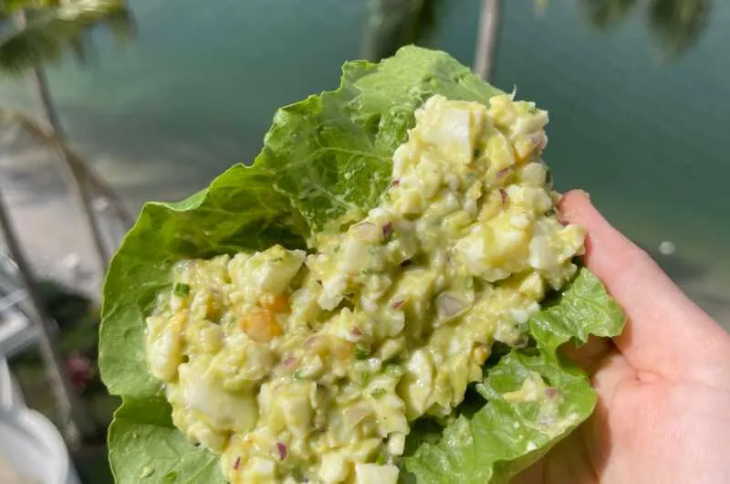 Egg & Avocado Lettuce Boats